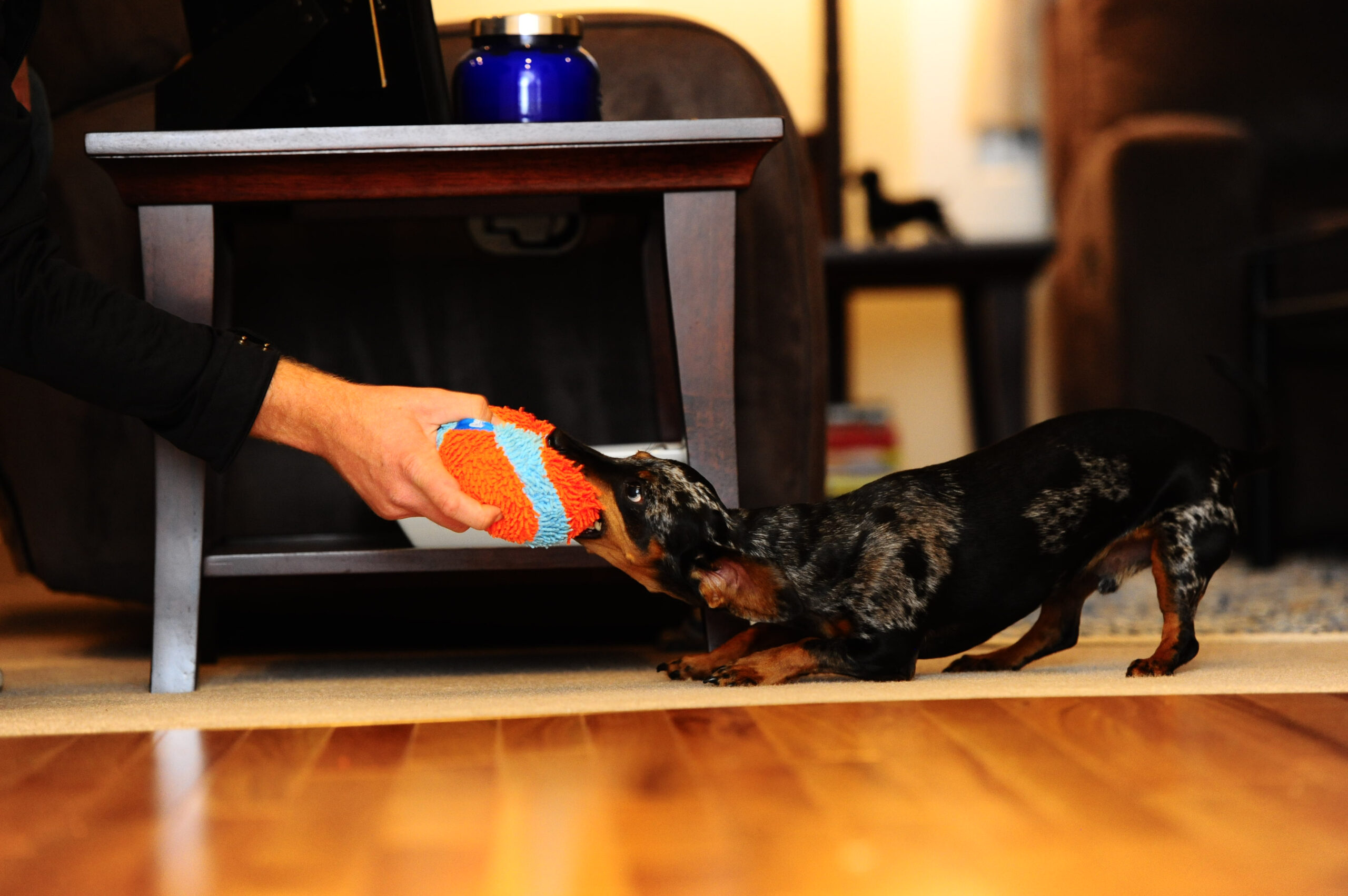 Chuckit! Indoor Ball 2025 Chuckit! Indoor Ball - Afbeelding 5