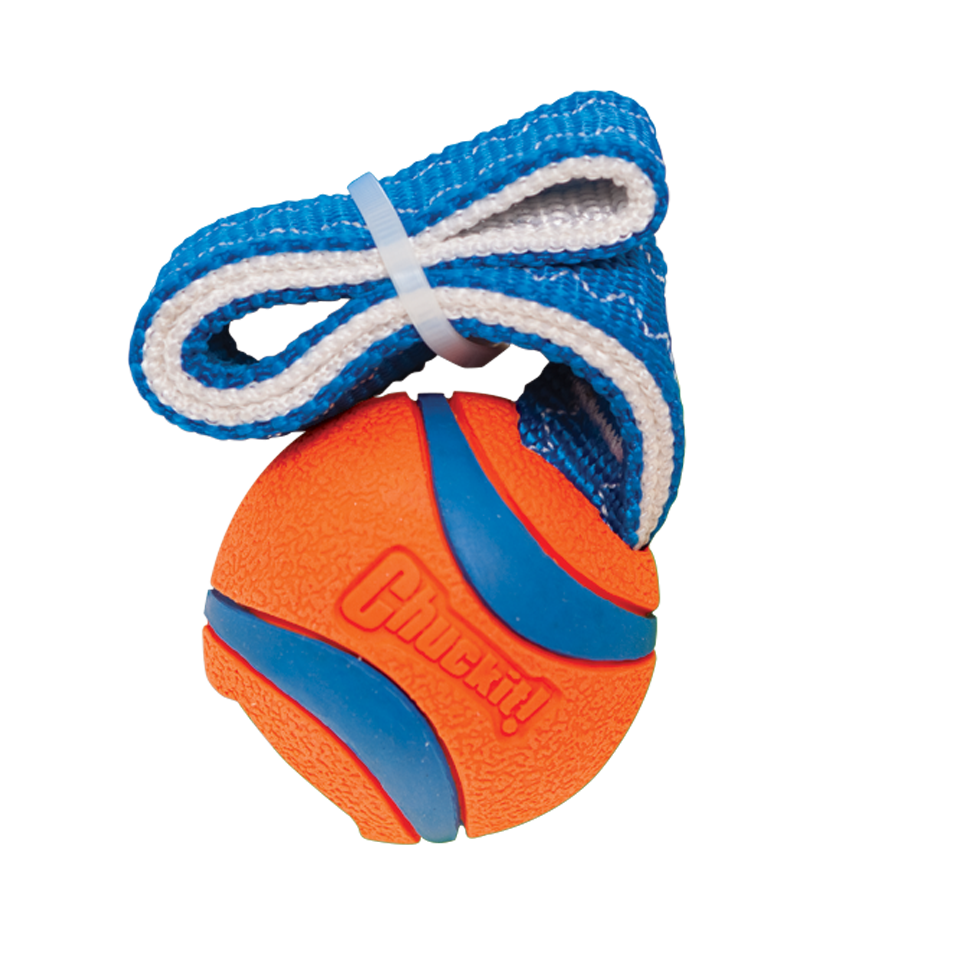 Chuckit! Ultra Tug S 2025 Chuckit! Ultra Tug S - Afbeelding 2