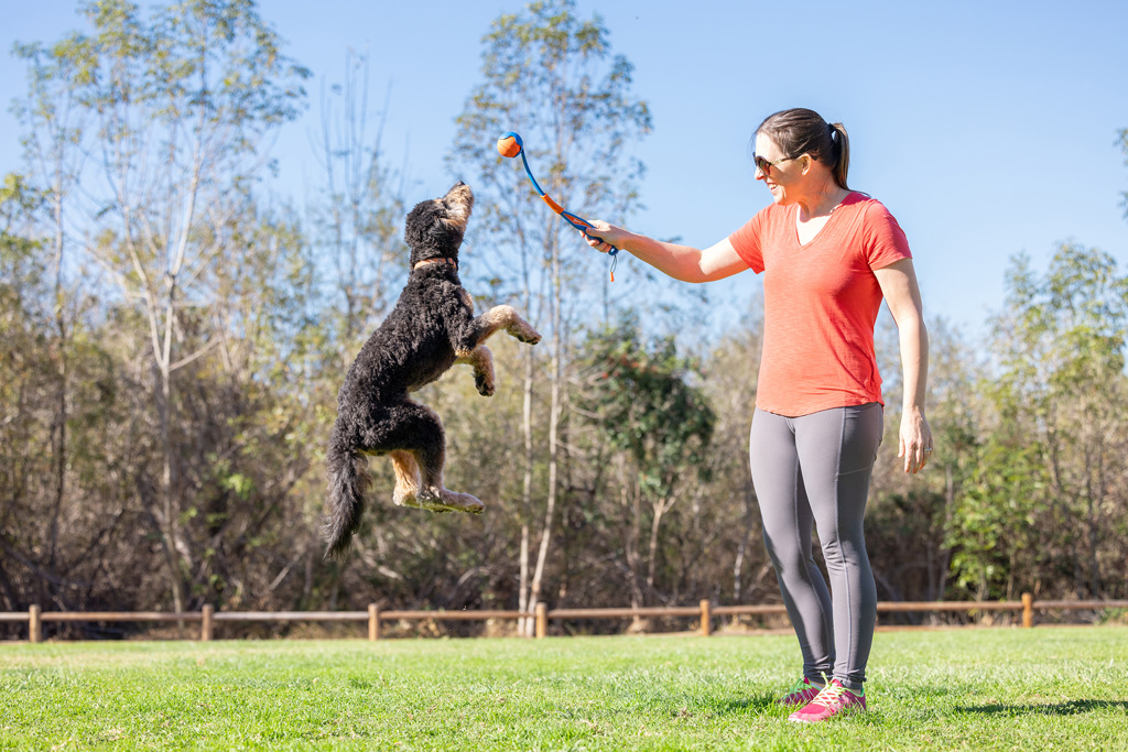 Chuckit! Fetch & Fold Launcher Mini 2025 Chuckit! Fetch & Fold Launcher Mini - Afbeelding 3