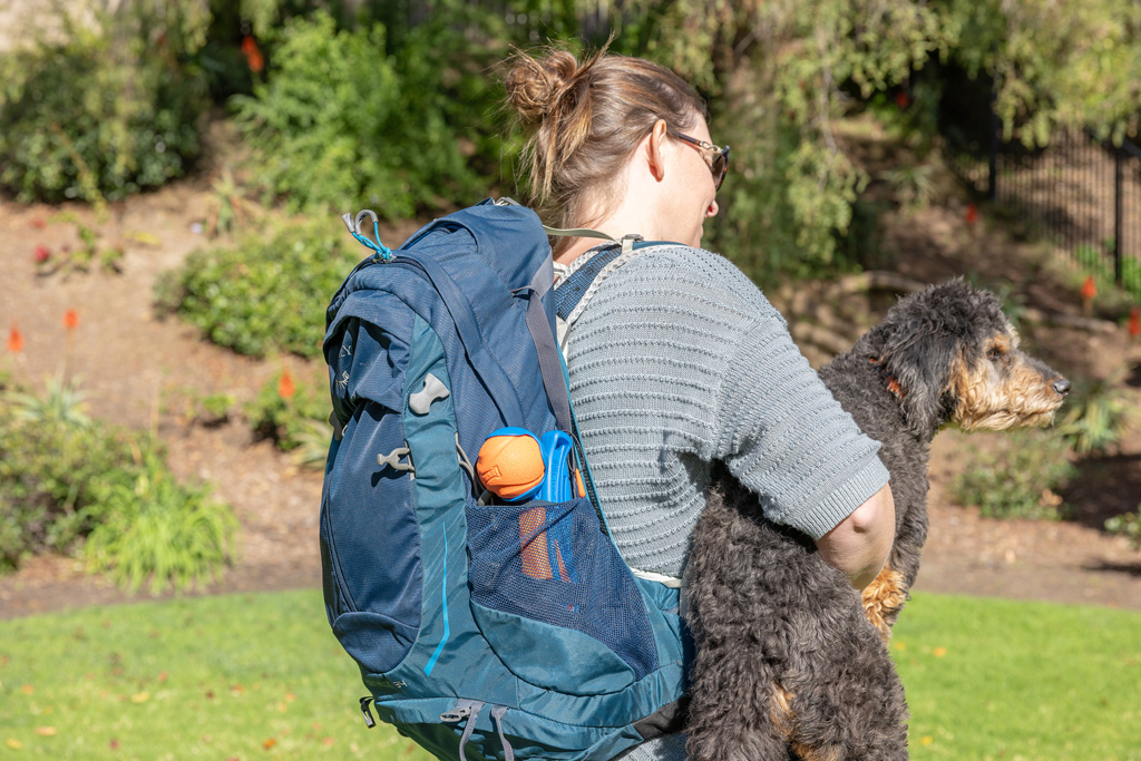 Chuckit! Fetch & Fold Launcher Mini 2025 Chuckit! Fetch & Fold Launcher Mini - Afbeelding 4