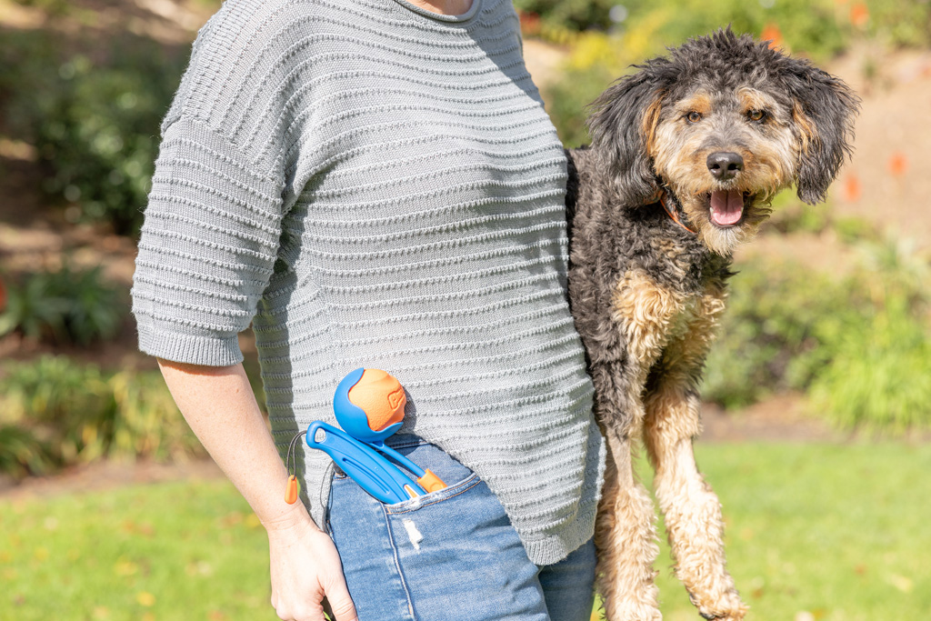 Chuckit! Fetch & Fold Launcher Mini 2025 Chuckit! Fetch & Fold Launcher Mini - Afbeelding 5