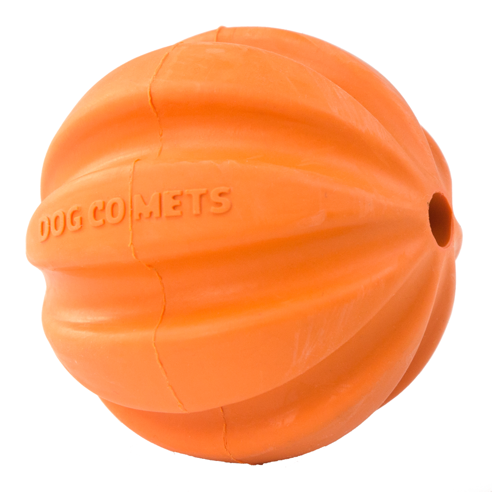 Dog Comets Swift Tuttle Oranje 2025 Dog Comets Swift Tuttle Oranje - Afbeelding 2