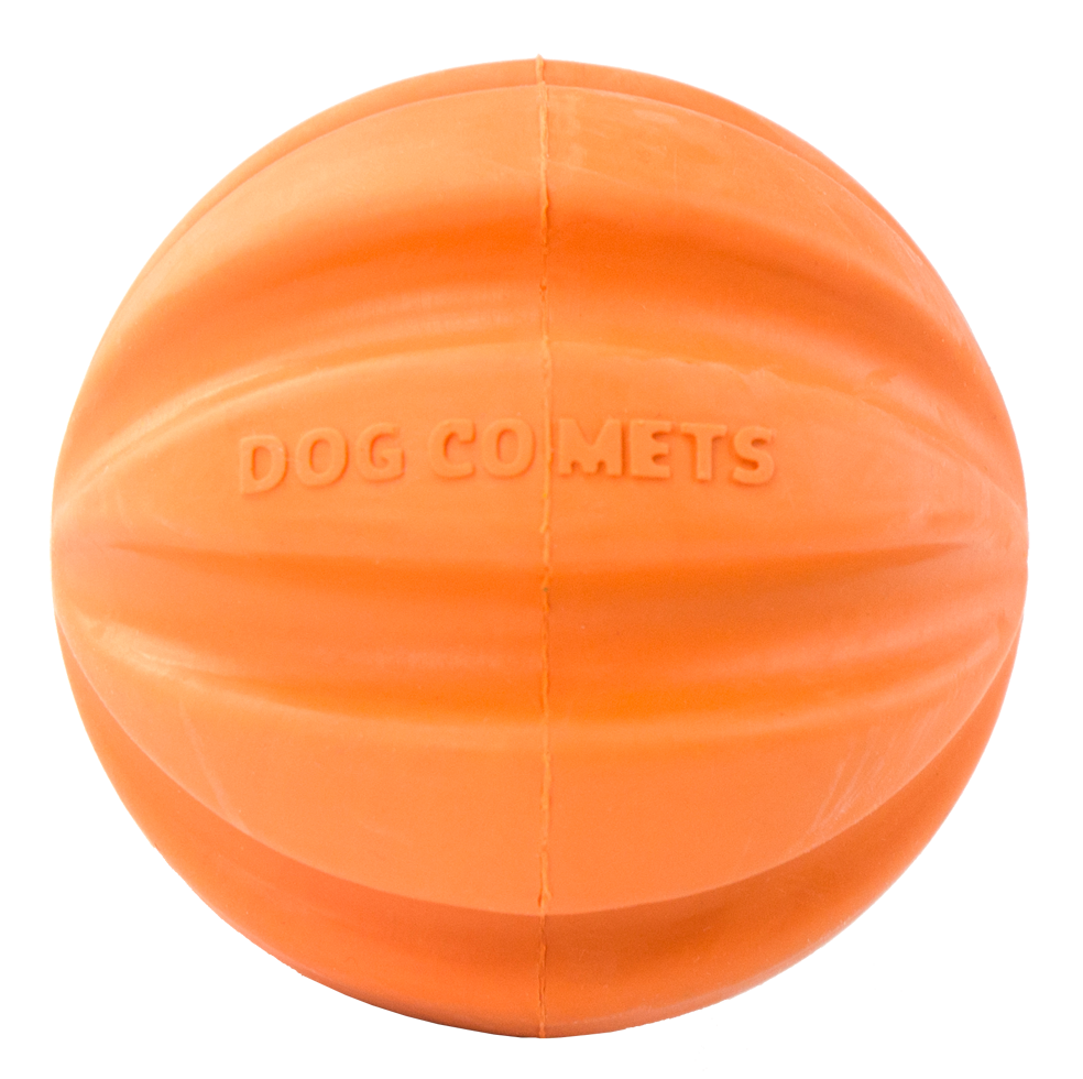 Dog Comets Swift Tuttle Oranje 2025 Dog Comets Swift Tuttle Oranje - Afbeelding 3