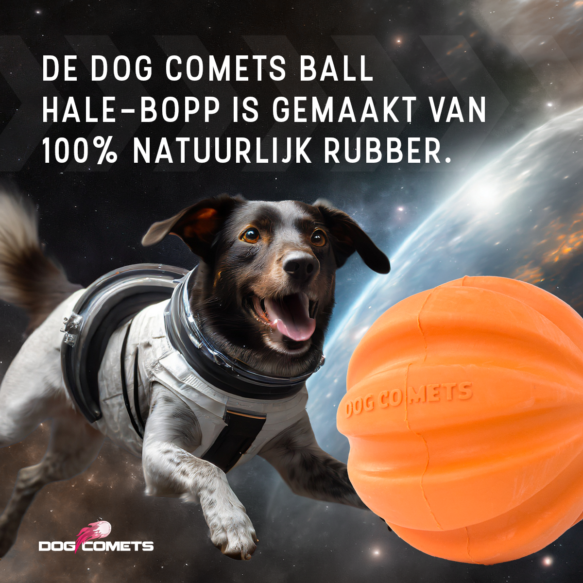 Dog Comets Swift Tuttle Met Touw Oranje 2025 Dog Comets Swift Tuttle Met Touw Oranje - Afbeelding 5