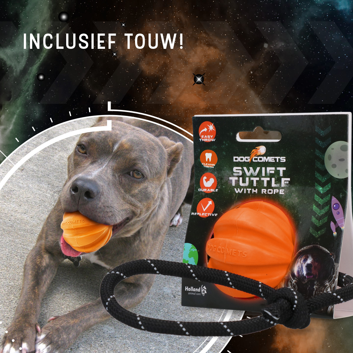 Dog Comets Swift Tuttle Met Touw Oranje 2025 Dog Comets Swift Tuttle Met Touw Oranje - Afbeelding 4