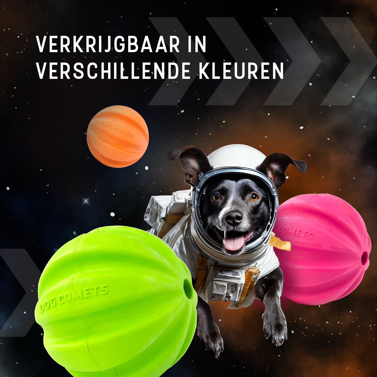 Dog Comets Swift Tuttle Met Touw Oranje 2025 Dog Comets Swift Tuttle Met Touw Oranje - Afbeelding 3