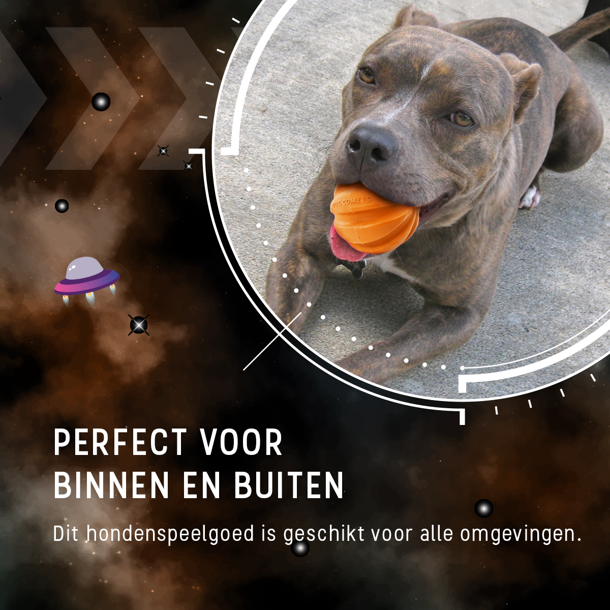 Dog Comets Swift Tuttle Met Touw Oranje 2025 Dog Comets Swift Tuttle Met Touw Oranje - Afbeelding 6