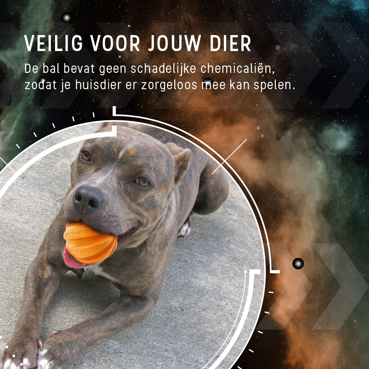 Dog Comets Swift Tuttle Oranje 2025 Dog Comets Swift Tuttle Oranje - Afbeelding 6