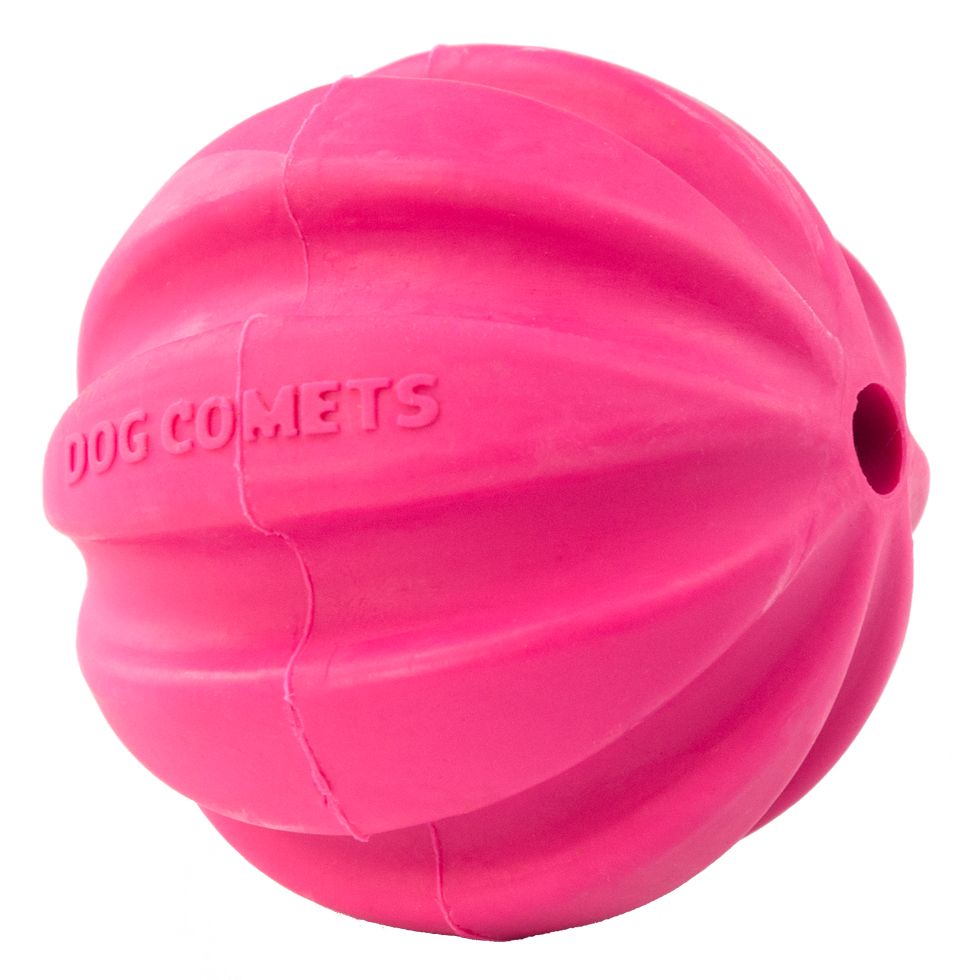 Dog Comets Halley Roze 2025 Dog Comets Halley Roze - Afbeelding 4