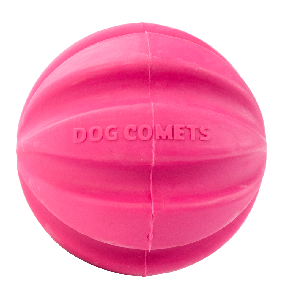 Dog Comets Halley Roze 2025 Dog Comets Halley Roze - Afbeelding 3