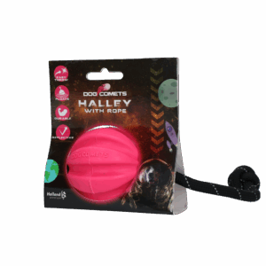 Dog Comets Halley Met Touw Roze