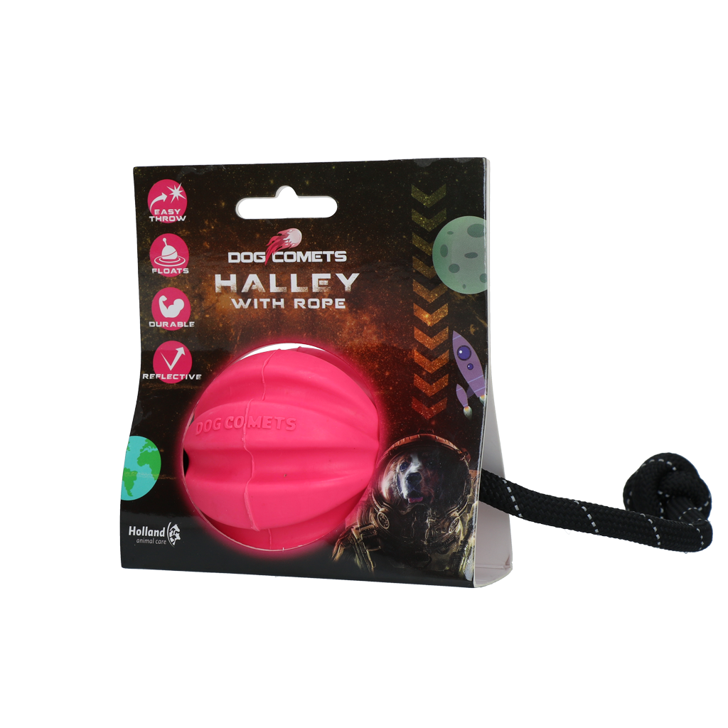 Dog Comets Halley Met Touw Roze 2025 Dog Comets Halley Met Touw Roze