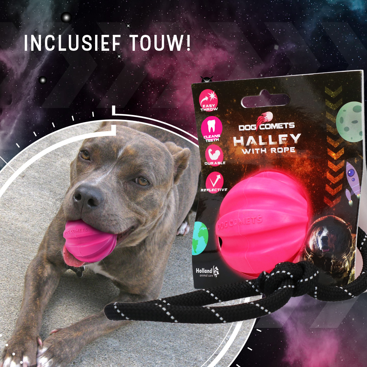 Dog Comets Halley Met Touw Roze 2025 Dog Comets Halley Met Touw Roze - Afbeelding 4