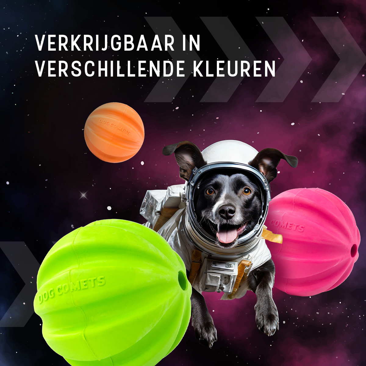 Dog Comets Halley Met Touw Roze 2025 Dog Comets Halley Met Touw Roze - Afbeelding 5