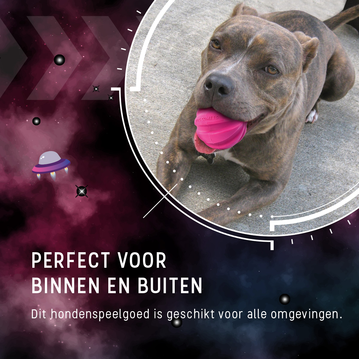 Dog Comets Halley Met Touw Roze 2025 Dog Comets Halley Met Touw Roze - Afbeelding 6