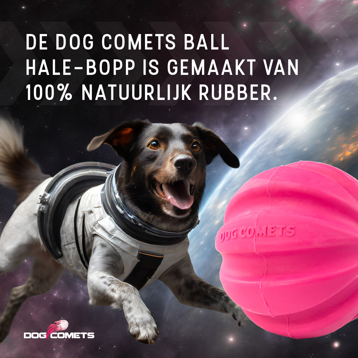 Dog Comets Halley Roze 2025 Dog Comets Halley Roze - Afbeelding 6