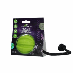 Dog Comets Hale Bopp Met Touw Groen