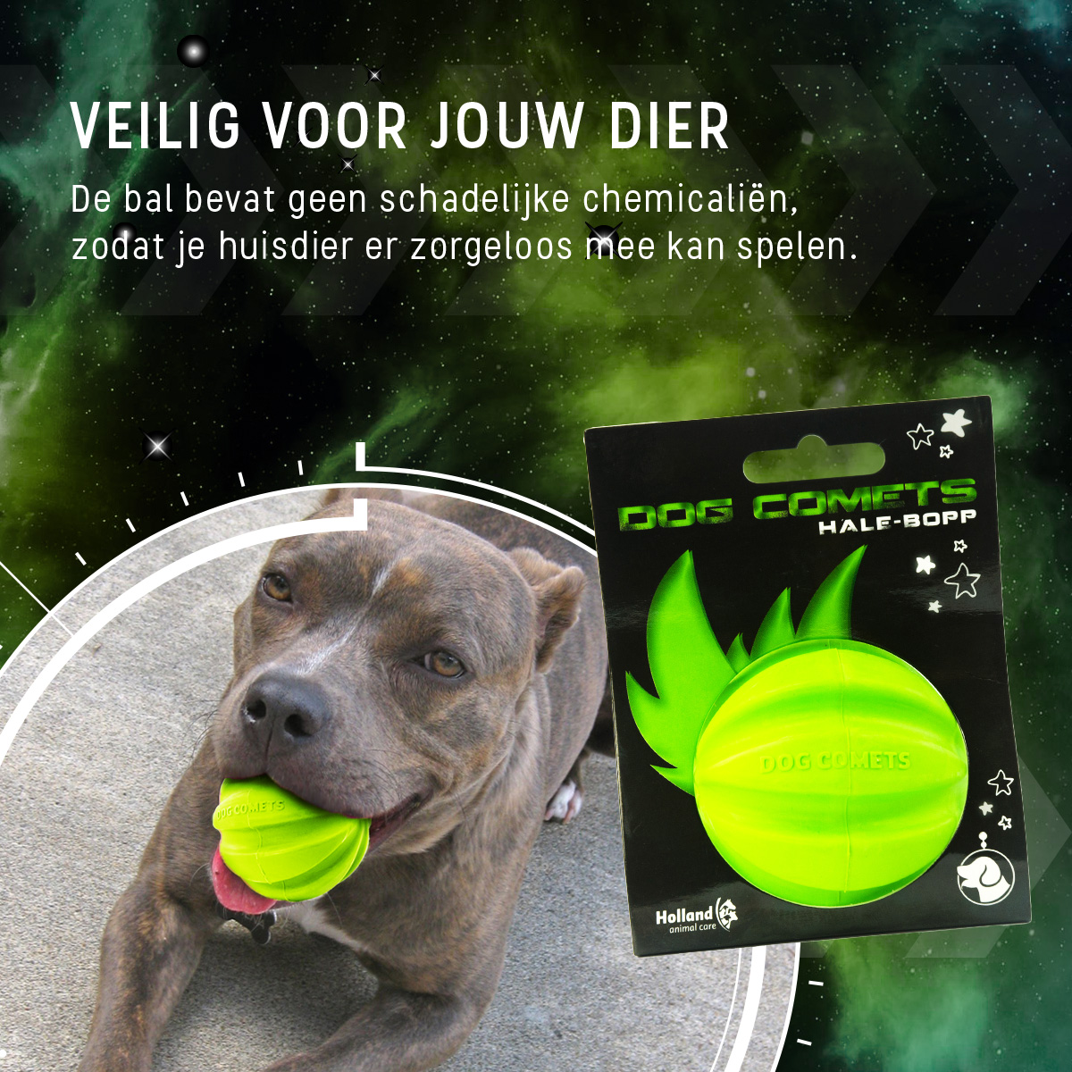 Dog Comets Hale Bopp Groen 2025 Dog Comets Hale Bopp Groen - Afbeelding 6