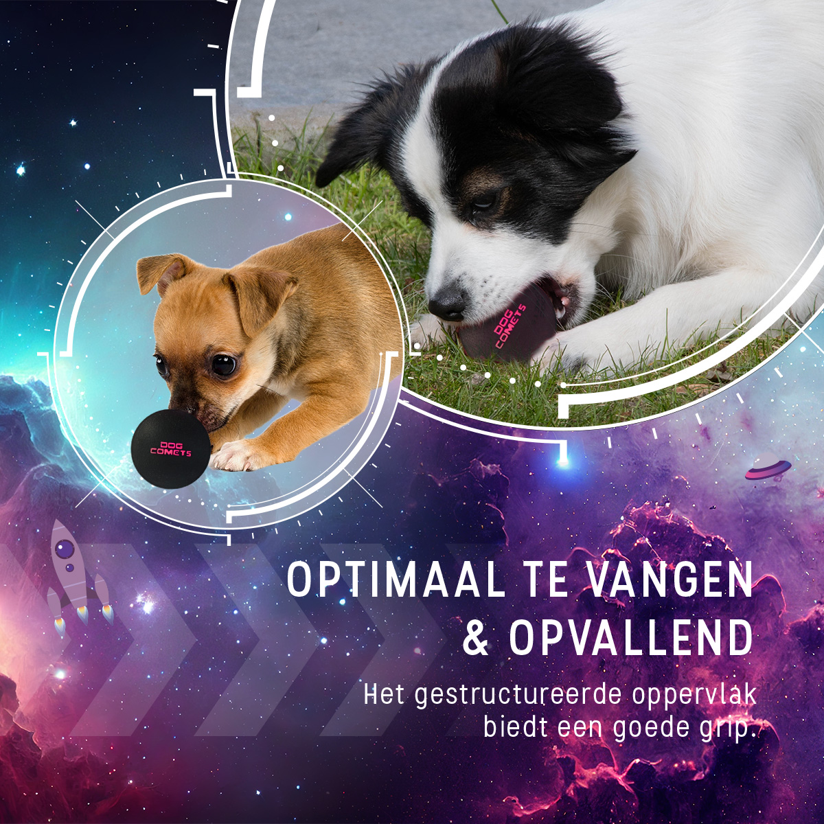 Dog Comets Stardust Zwart/Roze M 2025 Dog Comets Stardust Zwart/Roze M - Afbeelding 6