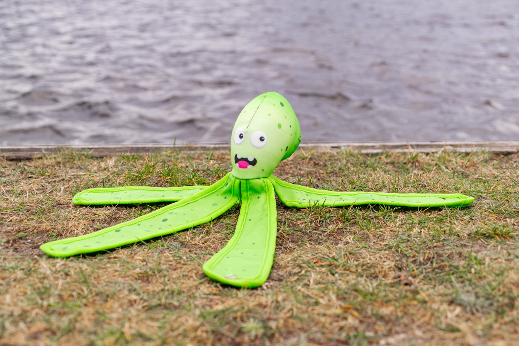 Dog Comets Alien Octo L Oranje 2025 Dog Comets Alien Octo L Oranje - Afbeelding 5