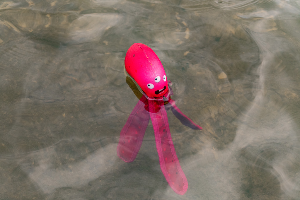 Dog Comets Alien Octo L Roze 2025 Dog Comets Alien Octo L Roze - Afbeelding 4