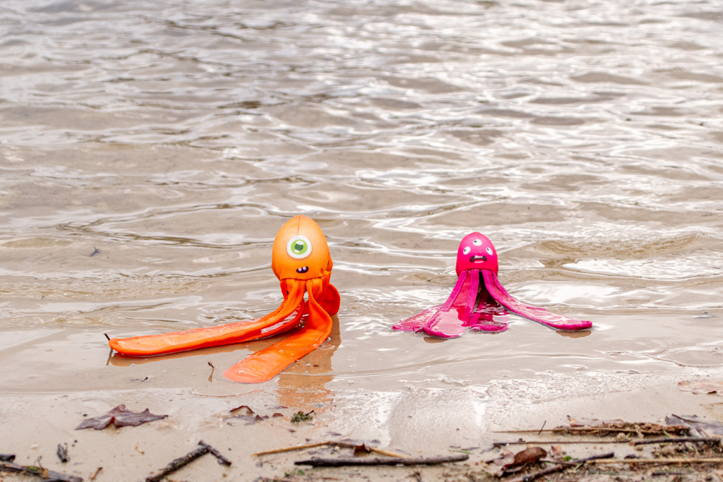 Dog Comets Alien Octo L Roze 2025 Dog Comets Alien Octo L Roze - Afbeelding 6