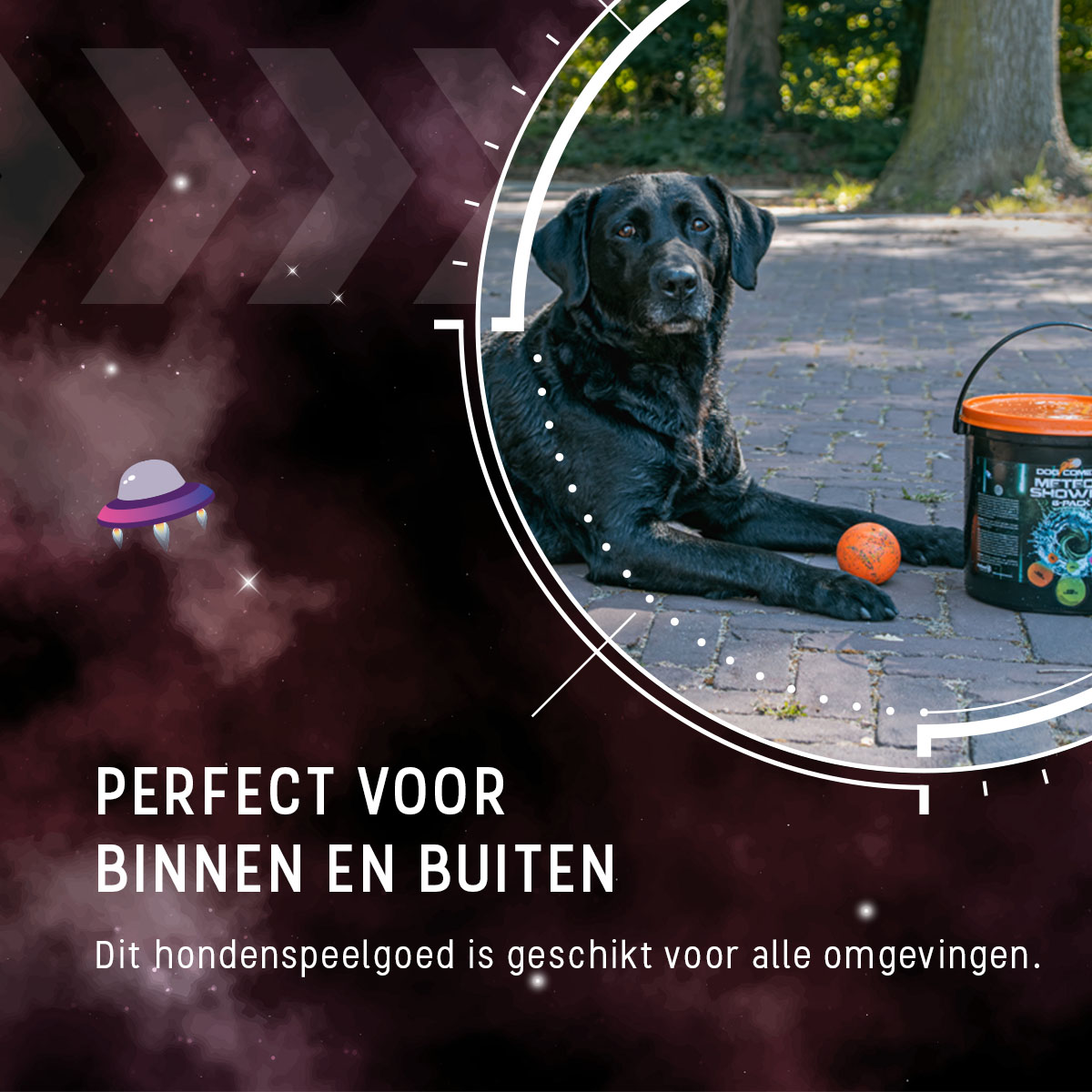 Dog Comets Meteor Shower (Emmer met 6 M Stardust ballen) 2025 Dog Comets Meteor Shower (Emmer met 6 M Stardust ballen) - Afbeelding 2