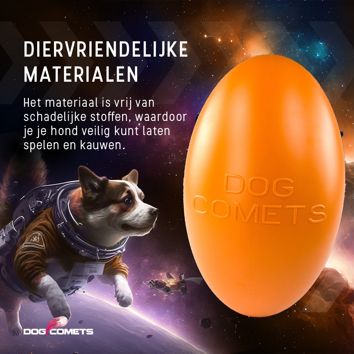 Dog Comets Pan-Stars Oranje L 2025 Dog Comets Pan-Stars Oranje L - Afbeelding 4