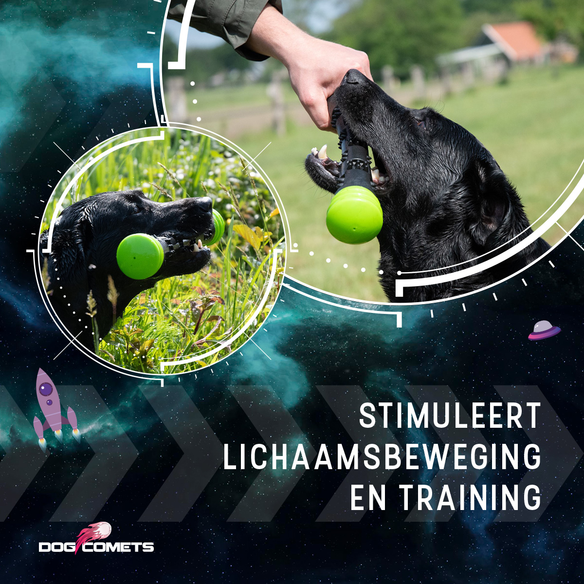 Dog Comets Meteor Werpstok Groen S 2025 Dog Comets Meteor Werpstok Groen S - Afbeelding 6