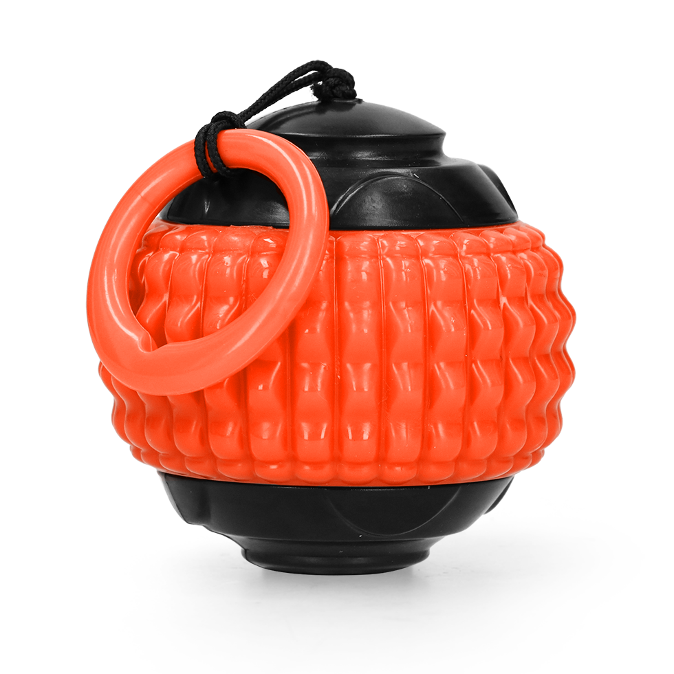 Dog Comets Blazar Jet Oranje 2025 Dog Comets Blazar Jet Oranje - Afbeelding 3