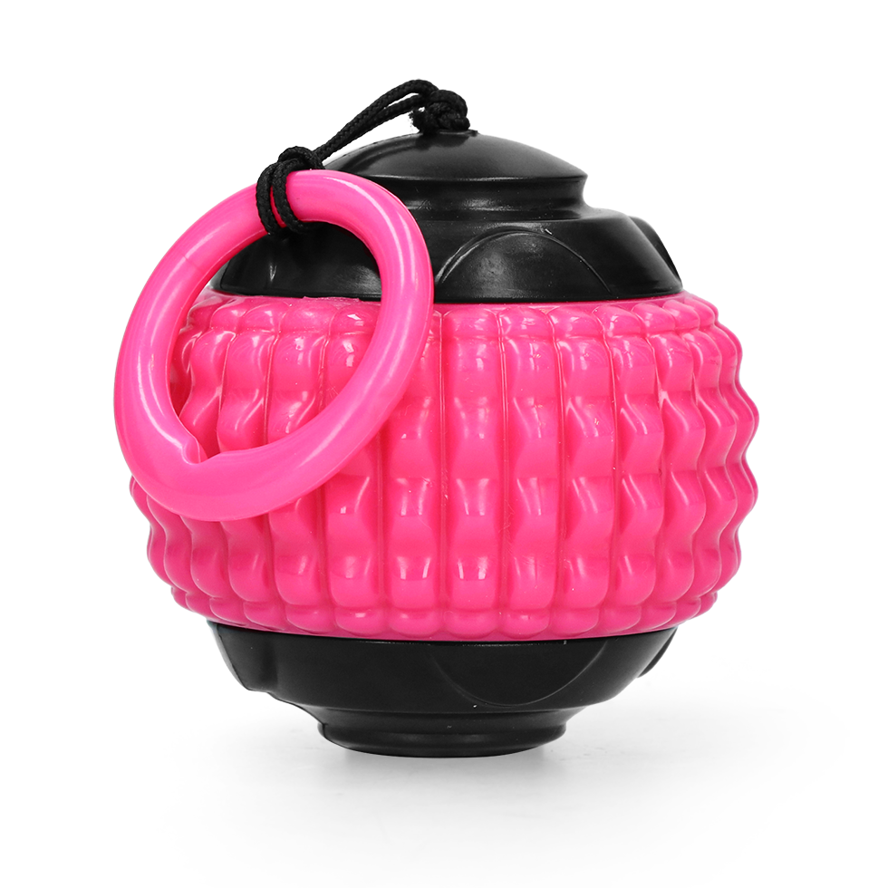 Dog Comets Blazar Jet Roze 2025 Dog Comets Blazar Jet Roze - Afbeelding 2