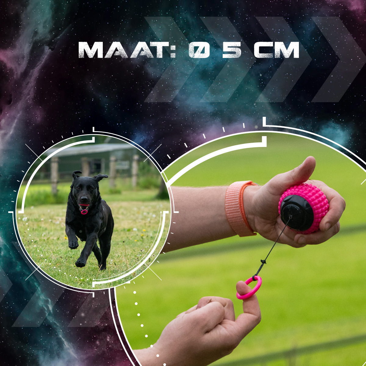 Dog Comets Blazar Jet Roze 2025 Dog Comets Blazar Jet Roze - Afbeelding 5