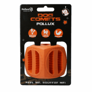 Dog Comets Pollux Oranje