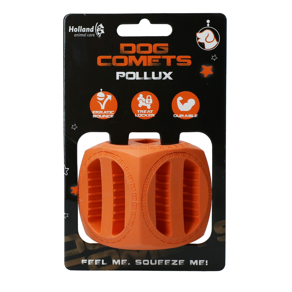 Dog Comets Pollux Oranje 2025 Dog Comets Pollux Oranje