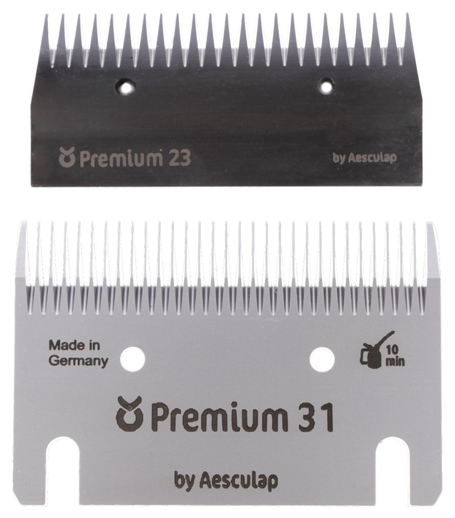 Constanta 3 Messenset Paard 23/31 2025 Constanta 3 Messenset Paard 23/31