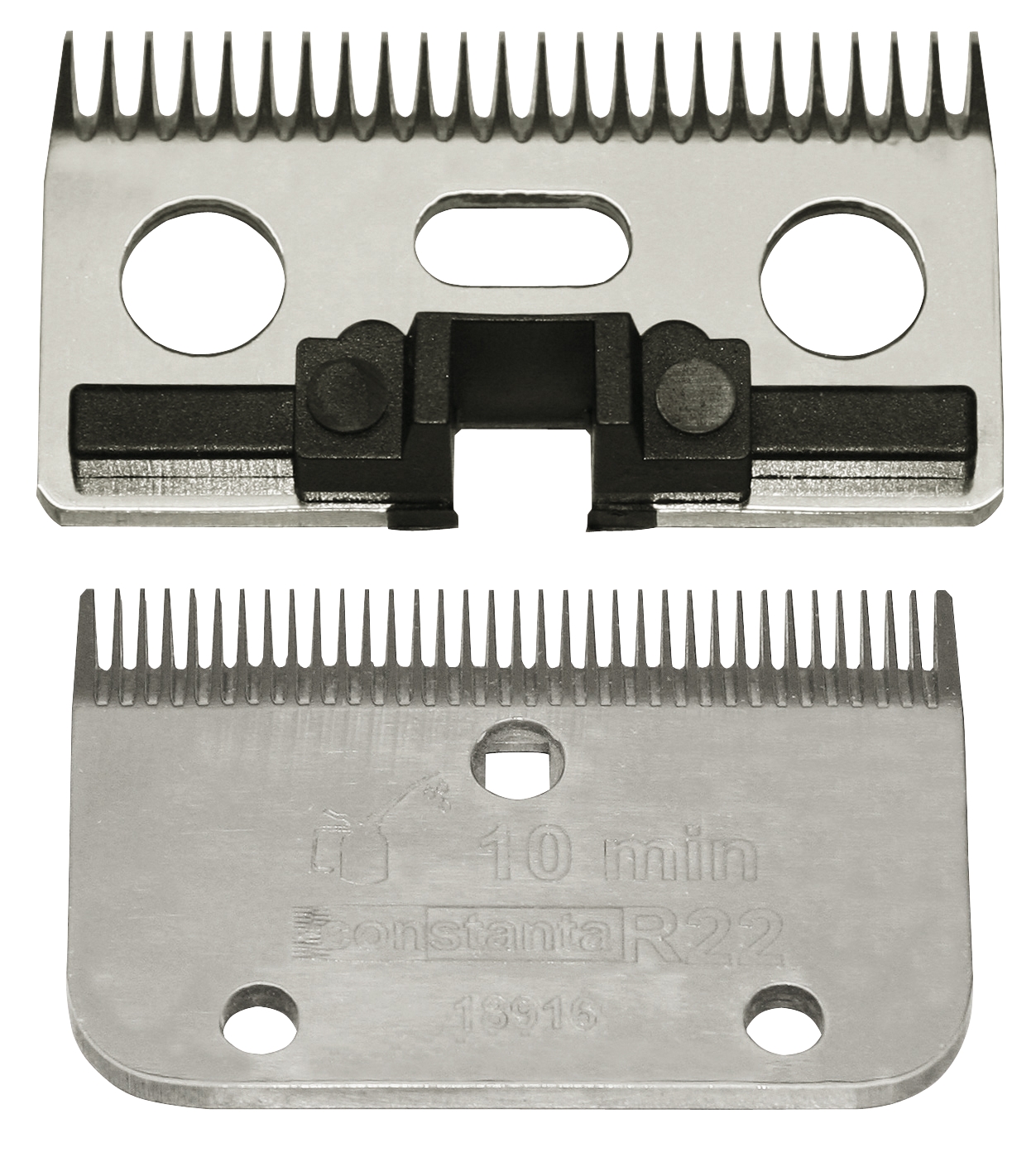 Constanta Rodeo Messenset 0.5 mm - 35/24 2025 Constanta Rodeo Messenset 0.5 mm - 35/24