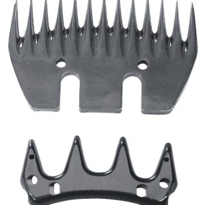 Constanta 3 Messenset Schaap 4/13