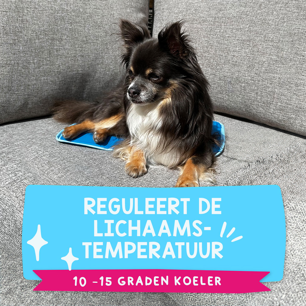 Coolpets Premium Solid gel Cooling Mat XS 40x30cm 2025 Coolpets Premium Solid gel Cooling Mat XS 40x30cm - Afbeelding 4