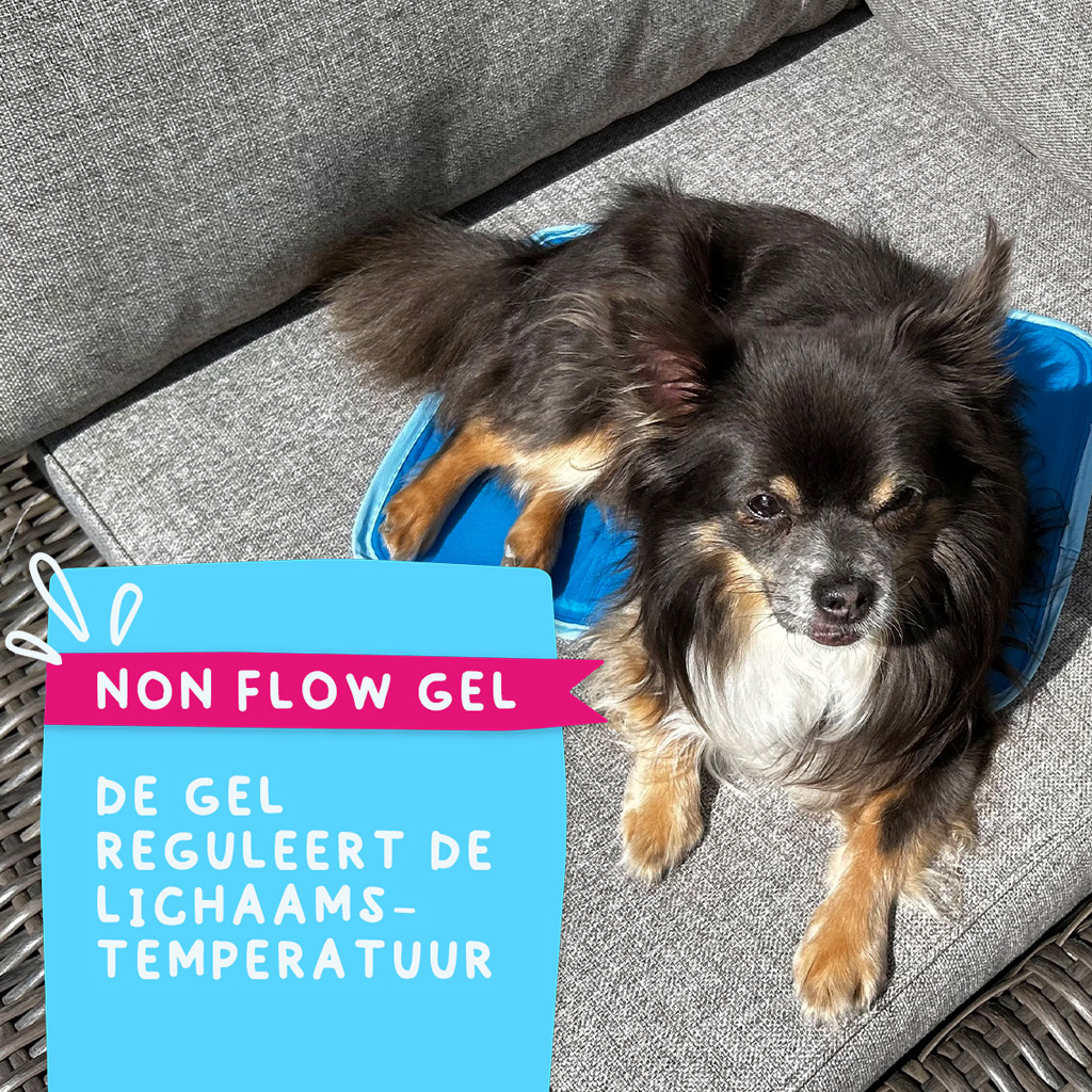 Coolpets Premium Solid gel Cooling Mat XS 40x30cm 2025 Coolpets Premium Solid gel Cooling Mat XS 40x30cm - Afbeelding 6