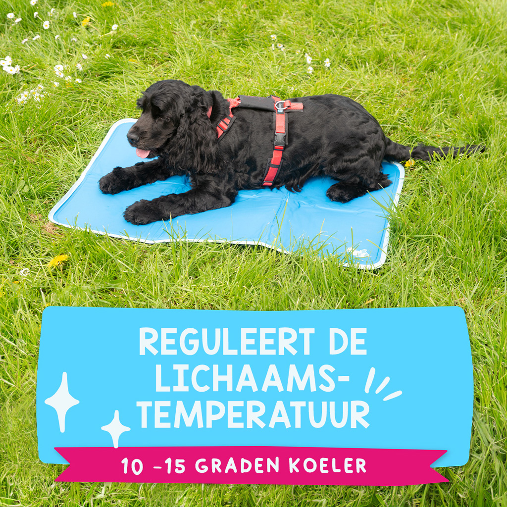 Coolpets Premium Solid gel Cooling Mat M 50x76cm 2025 Coolpets Premium Solid gel Cooling Mat M 50x76cm - Afbeelding 3
