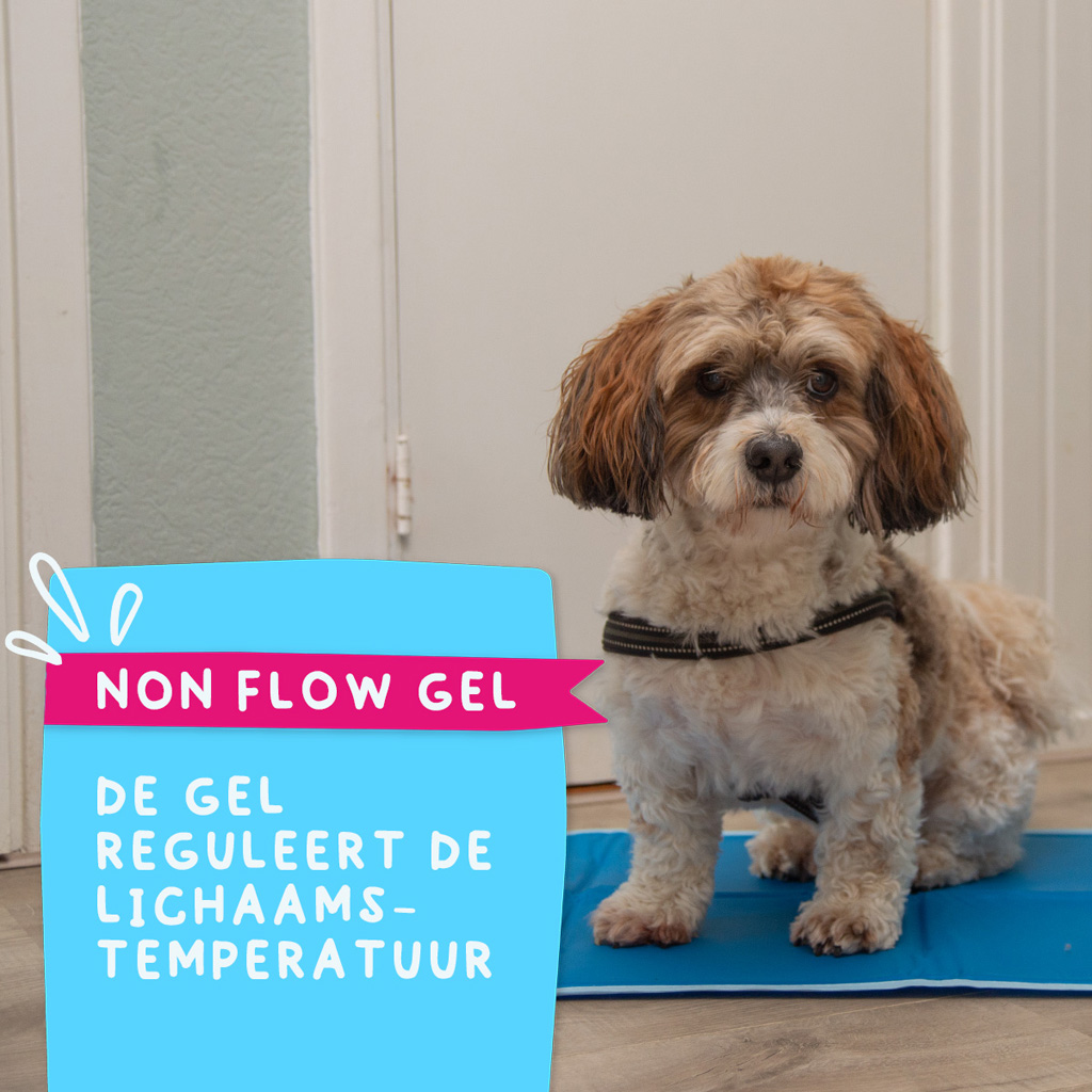 Coolpets Premium Solid gel Cooling Mat M 50x76cm 2025 Coolpets Premium Solid gel Cooling Mat M 50x76cm - Afbeelding 6