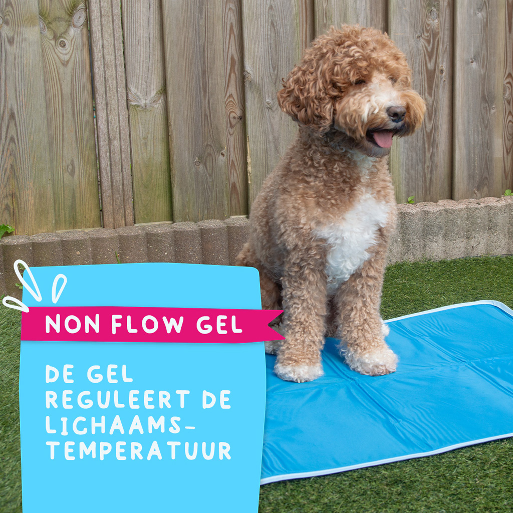 Coolpets Premium Solid gel Cooling Mat L 60x90cm 2025 Coolpets Premium Solid gel Cooling Mat L 60x90cm - Afbeelding 6