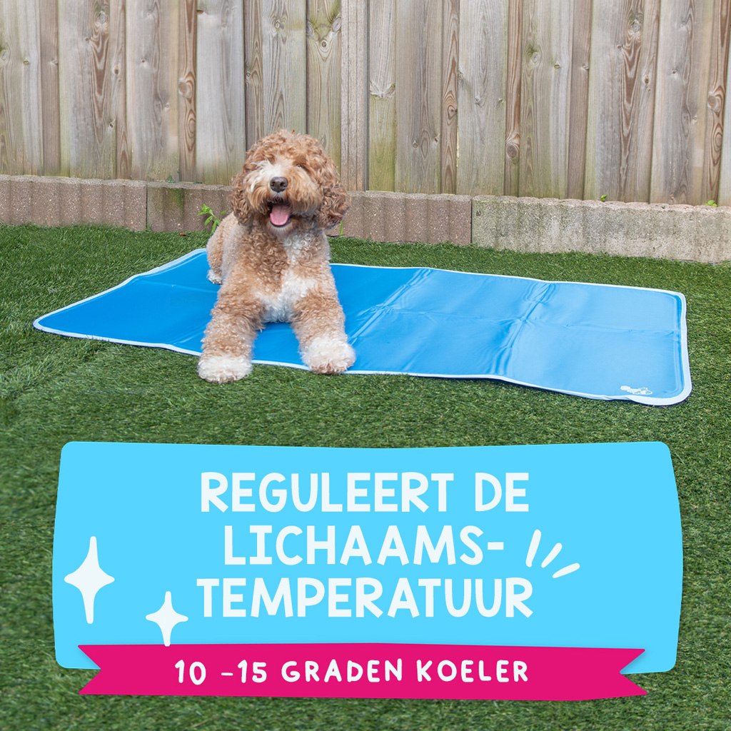 Coolpets Premium Solid gel Cooling Mat XL 70x120cm 2025 Coolpets Premium Solid gel Cooling Mat XL 70x120cm - Afbeelding 3