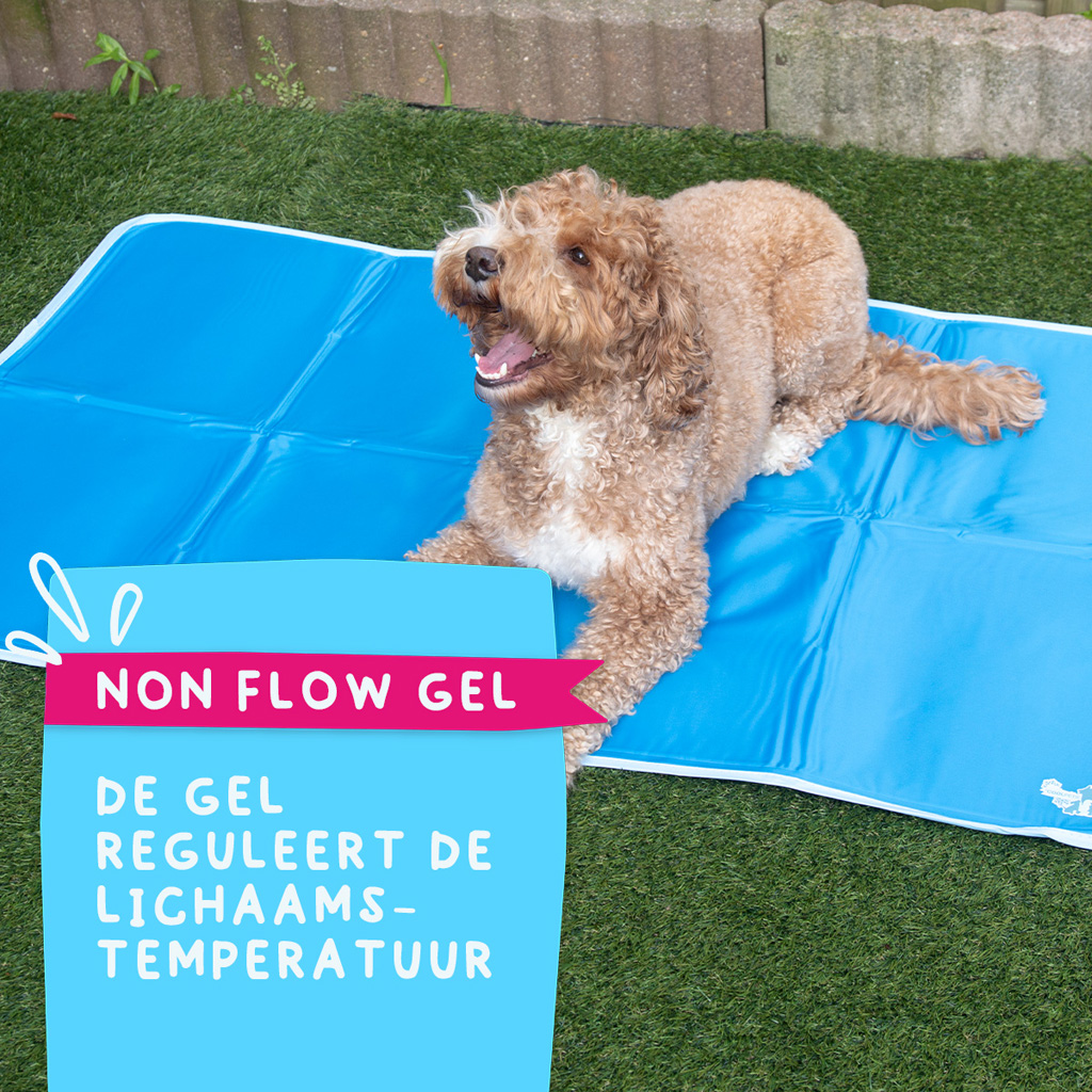Coolpets Premium Solid gel Cooling Mat XL 70x120cm 2025 Coolpets Premium Solid gel Cooling Mat XL 70x120cm - Afbeelding 6