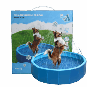 Coolpets Splash Sprinkler Pool
