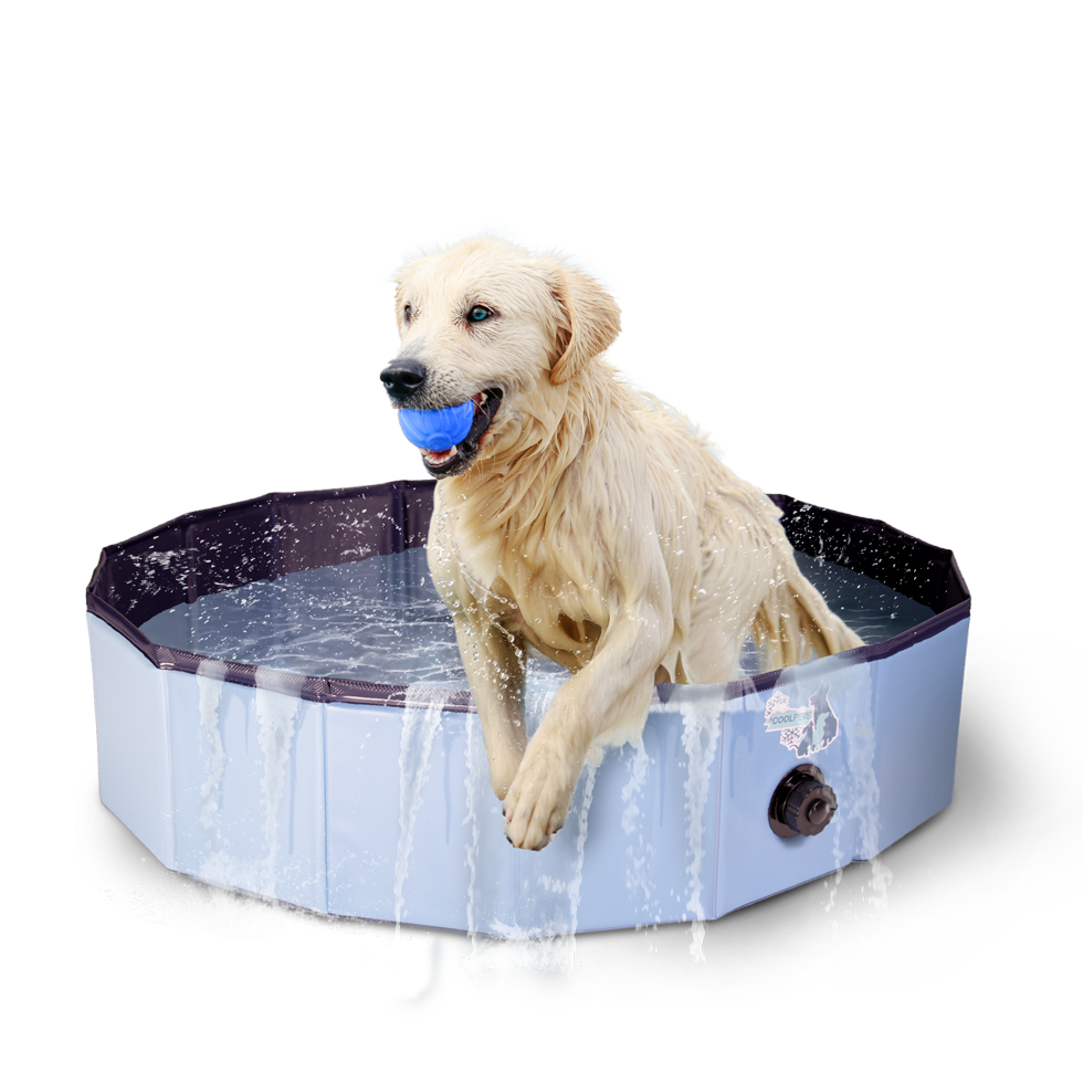 CoolPets Splash Dog Pool ø 100 x 25 cm 2025 CoolPets Splash Dog Pool ø 100 x 25 cm - Afbeelding 3