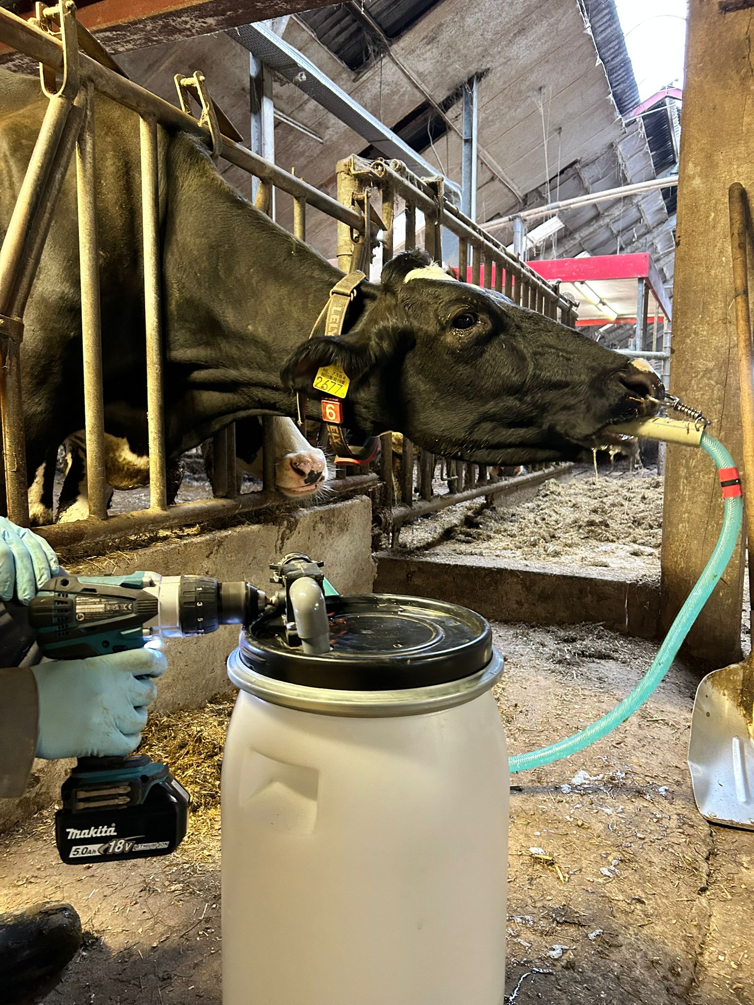 Excellent Cow Drencher Drill Driven 2025 Excellent Cow Drencher Drill Driven - Afbeelding 2