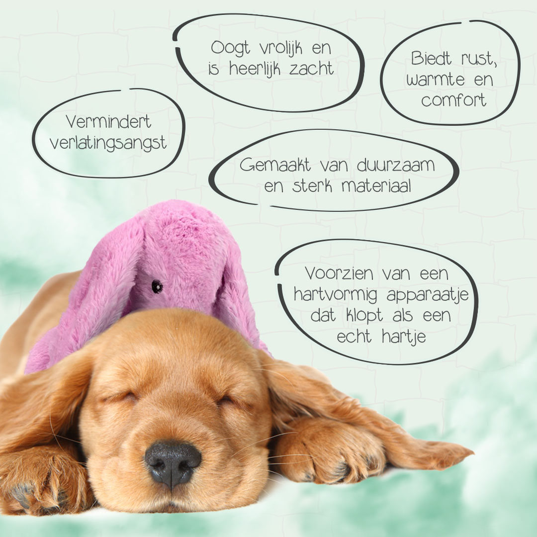 Cozy Dog Bunny Roze 2025 Cozy Dog Bunny Roze - Afbeelding 3
