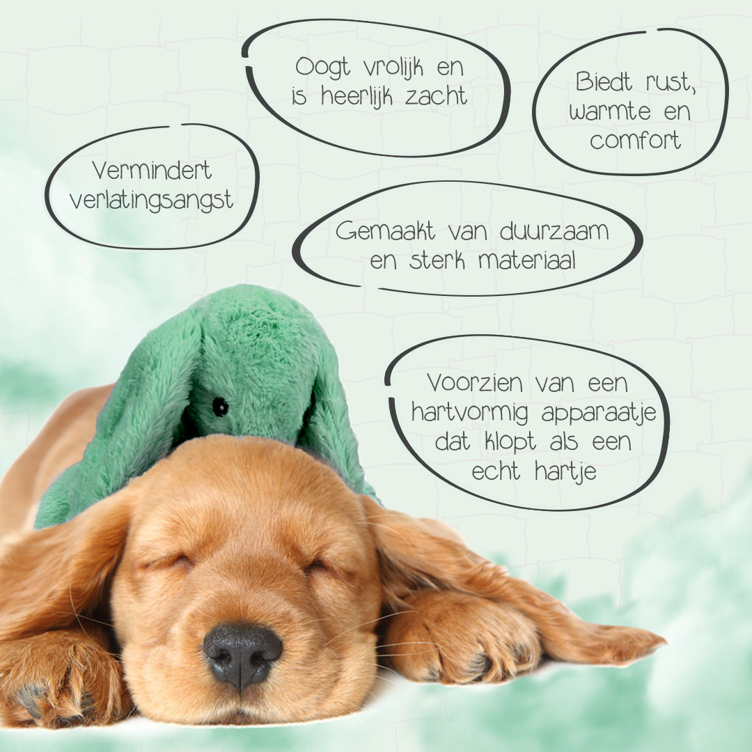 Cozy Dog Bunny Groen 2025 Cozy Dog Bunny Groen - Afbeelding 3