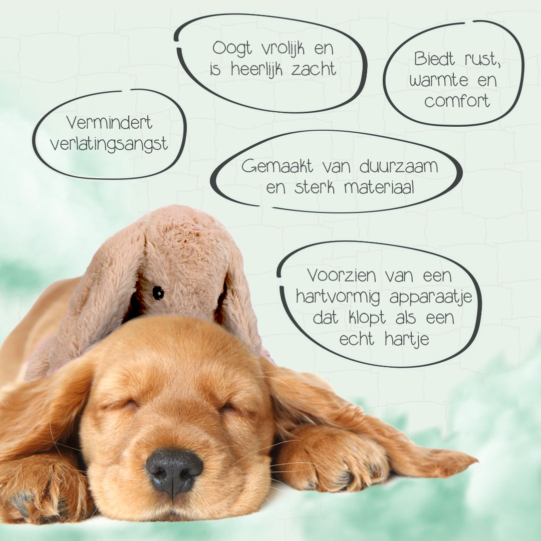 Cozy Dog Bunny Bruin 2025 Cozy Dog Bunny Bruin - Afbeelding 3